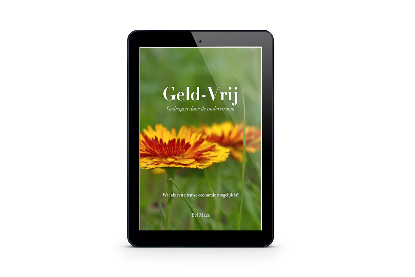 E-boek Geld-Vrij door Evi Maes