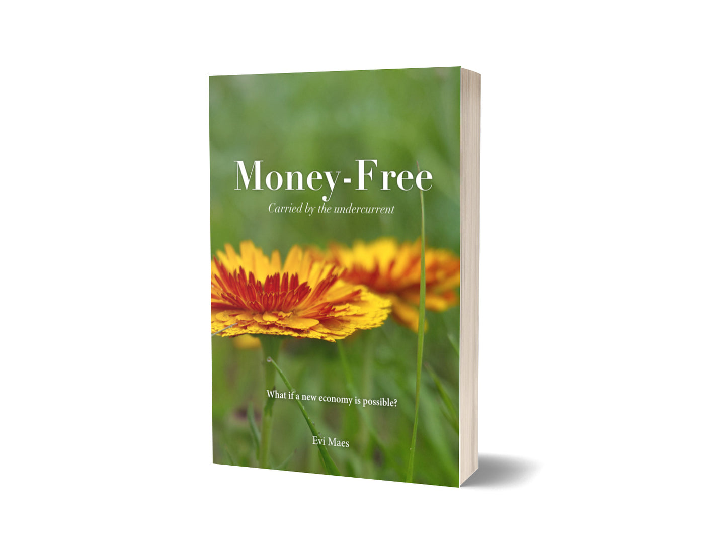 Libro: Money-Free de Evi Maes