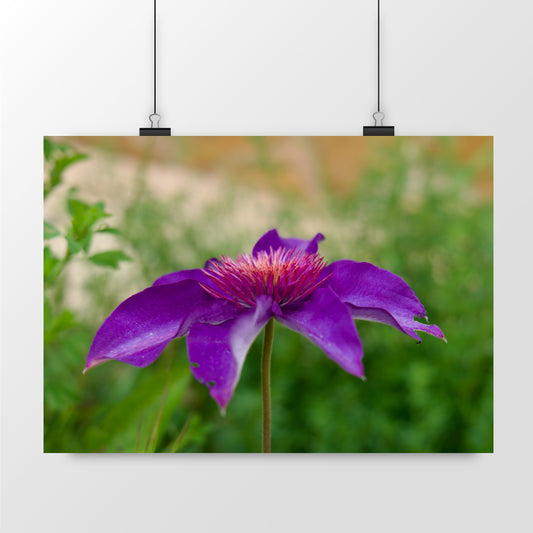 Photo by Matthias - Passion