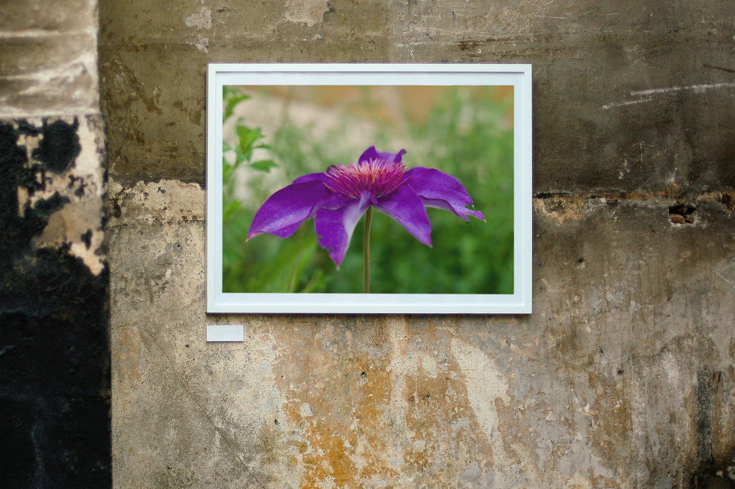 ART PRINTS