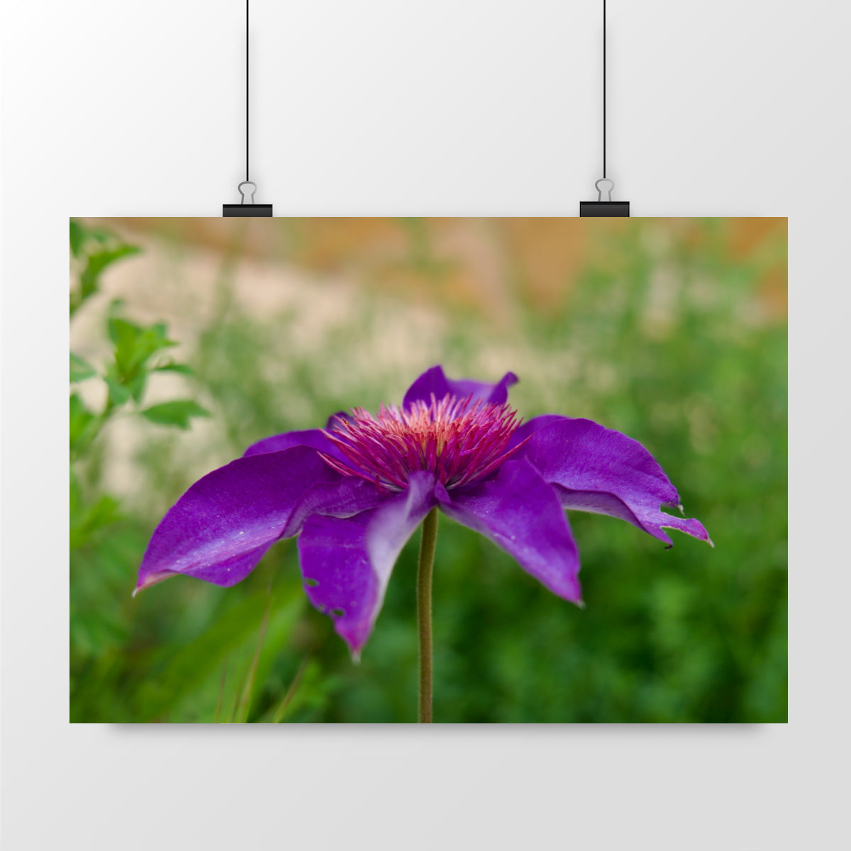 Photo by Matthias - Passion